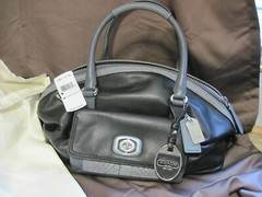 COACH PINNACLE EMBOSSED PYTHON EXOTIC COLORBLOCK ERIN 18974 PURSE BAG NEW NWT