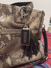 Coach Park Python Embossed Leather Carryall Tote Bag Silver Turnlock F24384