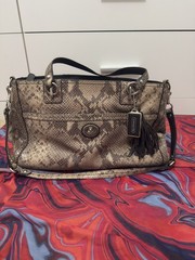 Coach Park Python Embossed Leather Carryall Tote Bag Silver Turnlock F24384
