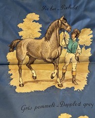 Hermès Scarf “Les Robes” Vintage Ledoux 1968 Silk Equestrian Seller In The USA
