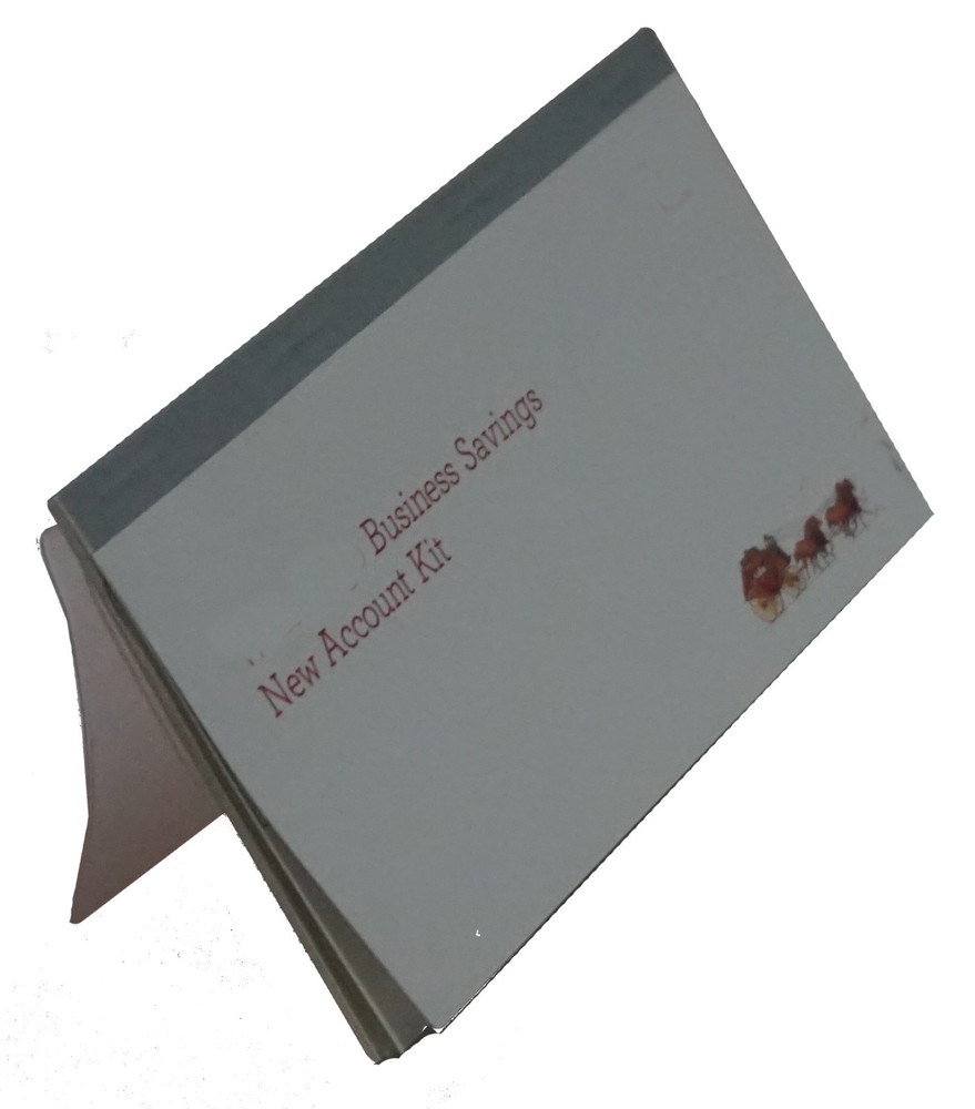 Standard Checkbook Divider Insert Duplicate Clear Vinyl Cover Size 6×2.8 Inch